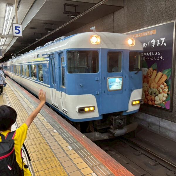 イルカ島ツアーへ行ってきました🐬 画像