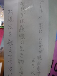 DSCF8261