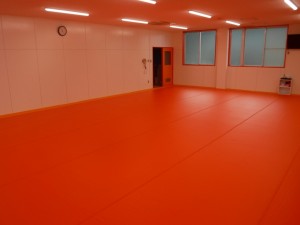 DSCF8446