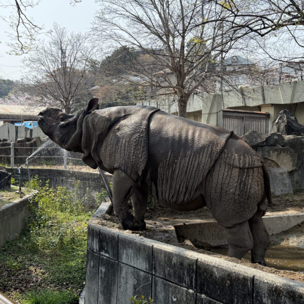 【時事】春らんまん 画像