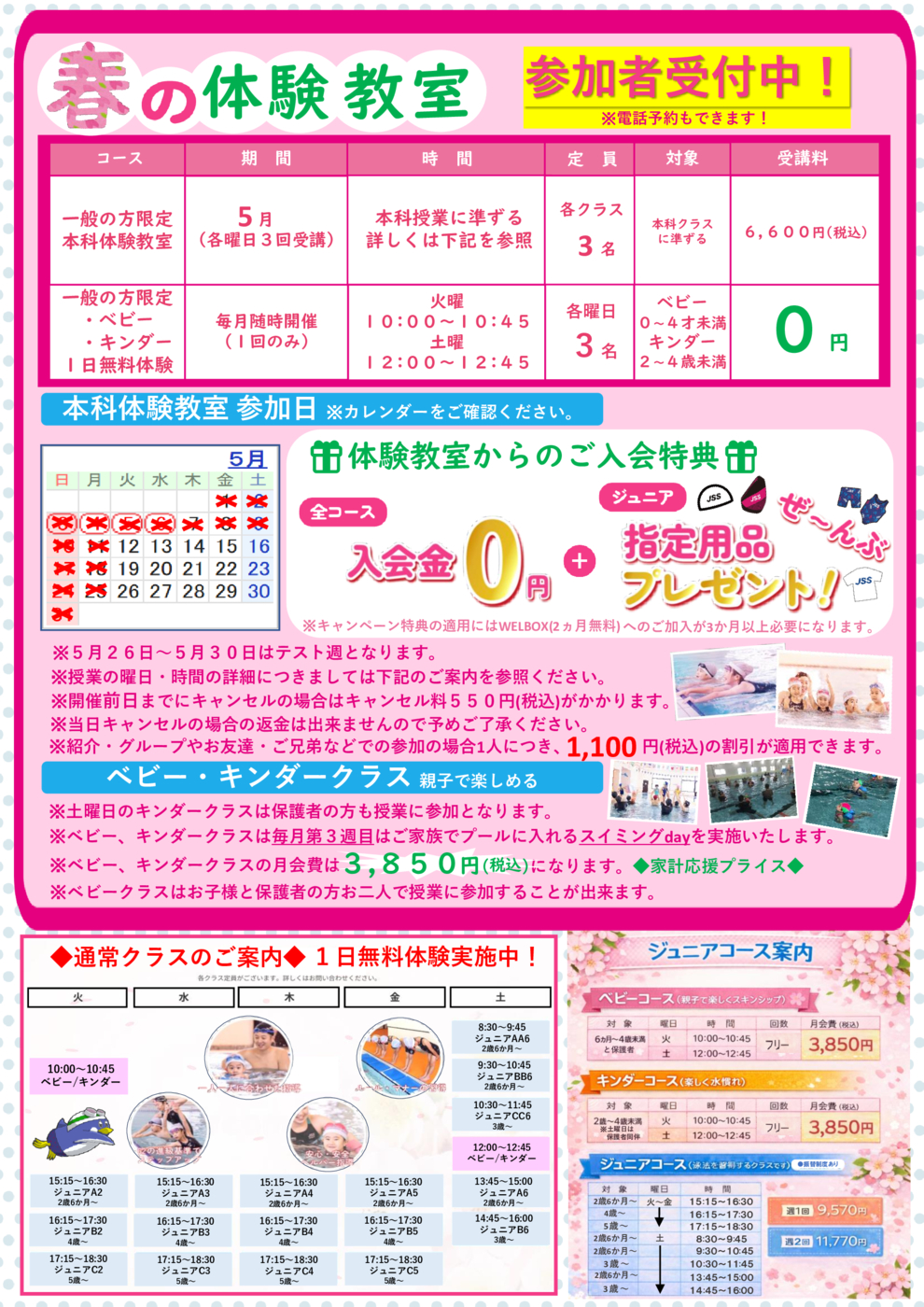 2026.04用春CP(50周年)_A4チラシ