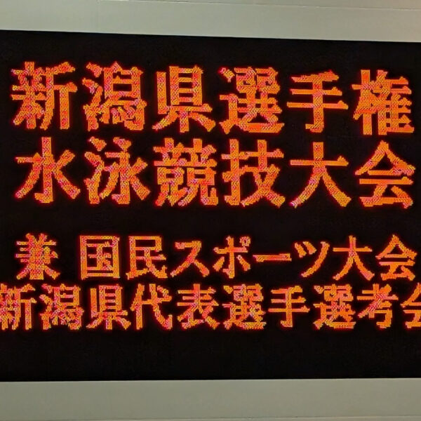新潟県選手権！ 画像