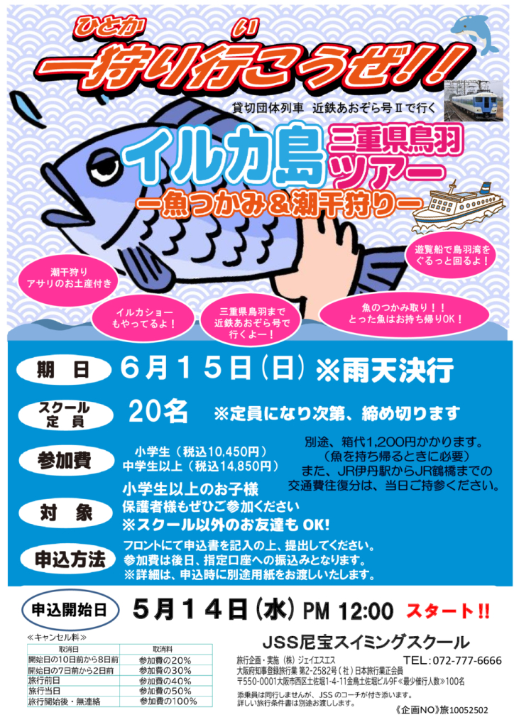 イルカ島　ちらし・ポスターのサムネイル