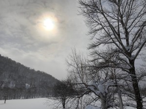 IMG_0998