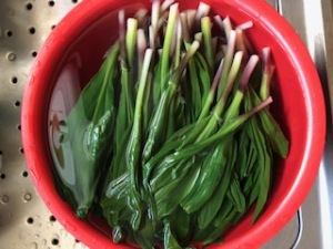 image5