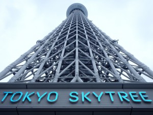 P8310249