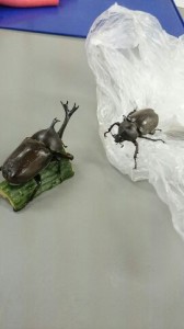 カブトムシ2