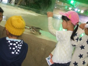 DSCF4281