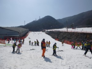 P1000499