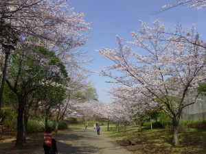 IMGA0248