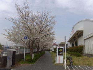 IMGA0256