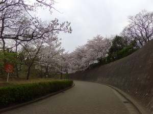 IMGA0257