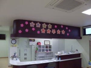 IMGA0261