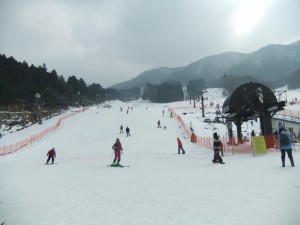 DSCF4625