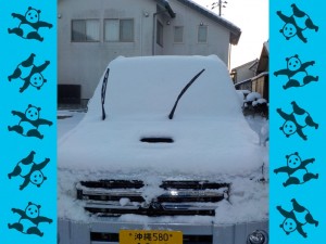 FSCN3560