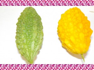 FSCN6796