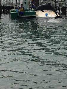 IMG_4101