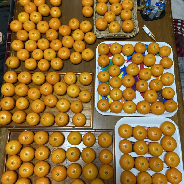 １２月１日（金）は休館日です！ 画像