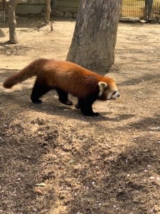 IMG_2815