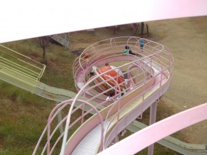 IMGA0334