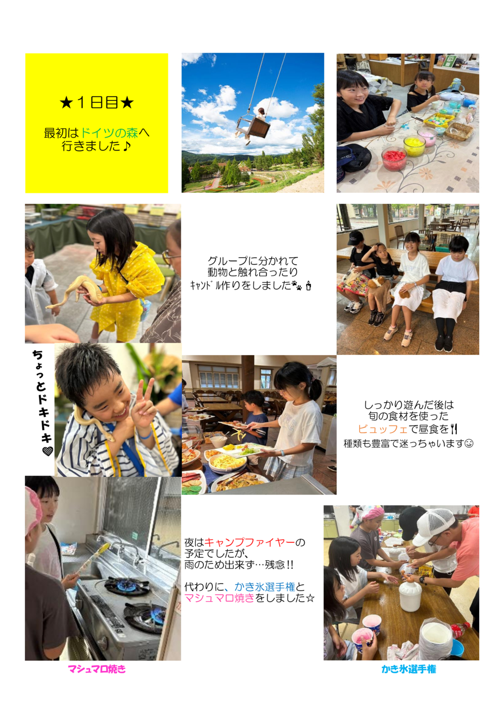 キャンプ掲載用1