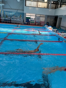 水泳　競泳　練習　スイミング