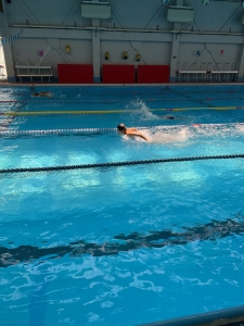 水泳　競泳　練習　スイミング