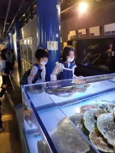 春の遠足