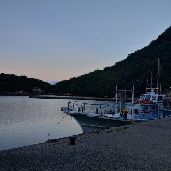 夏の終盤戦－－海からの最高の一尾を。 画像
