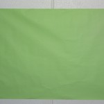 DSC00395
