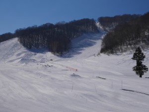 P1040057