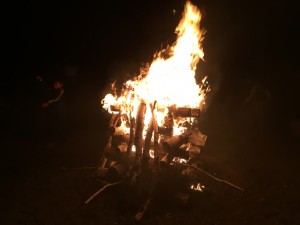 IMG_4949