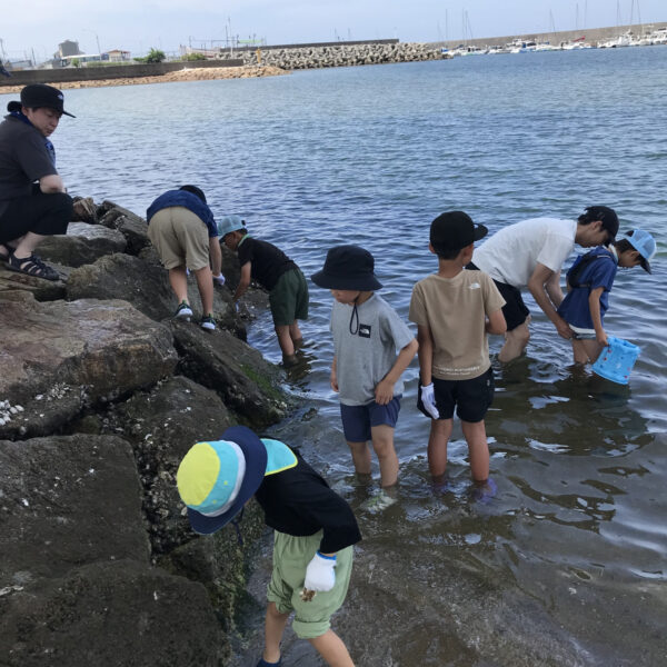 地引網遠足 画像