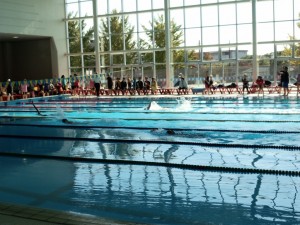 IMG_20141116_100356226