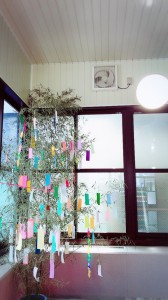 image1.JPGtanaba他