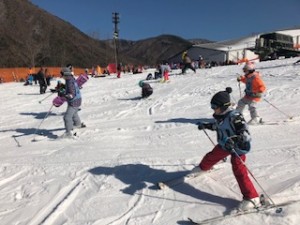 IMG_0068
