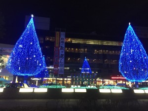 IMG_4926