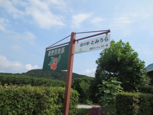 IMG_0234