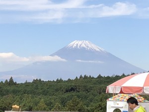 IMG_0210