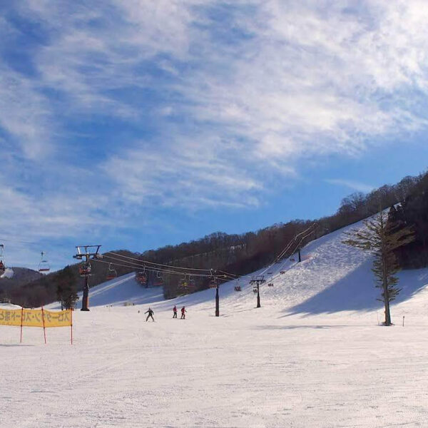 2025冬スキー 11/19~申込開始!! 画像