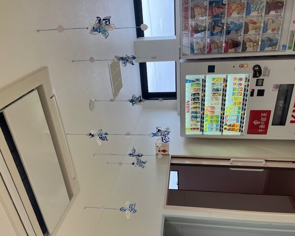 もうすぐ12月ですね☃ 画像