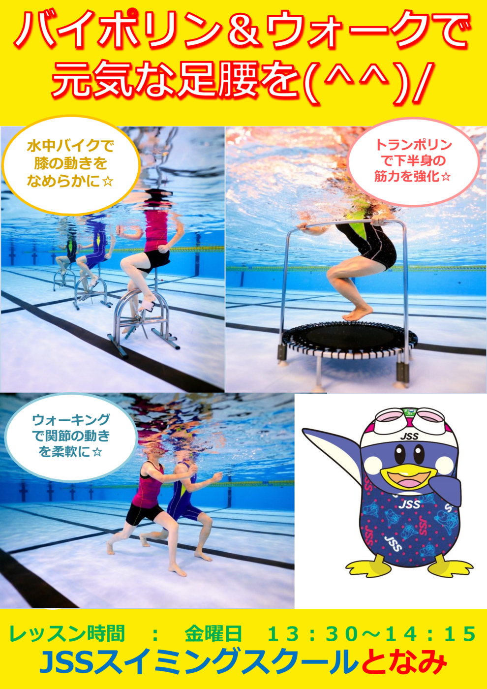 JSSとなみバイポリン2025.6