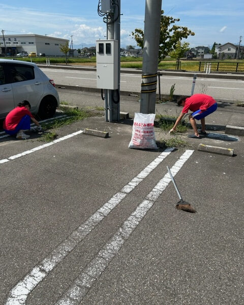 夏の暑さに負けずぐんぐん伸びています🍃 画像