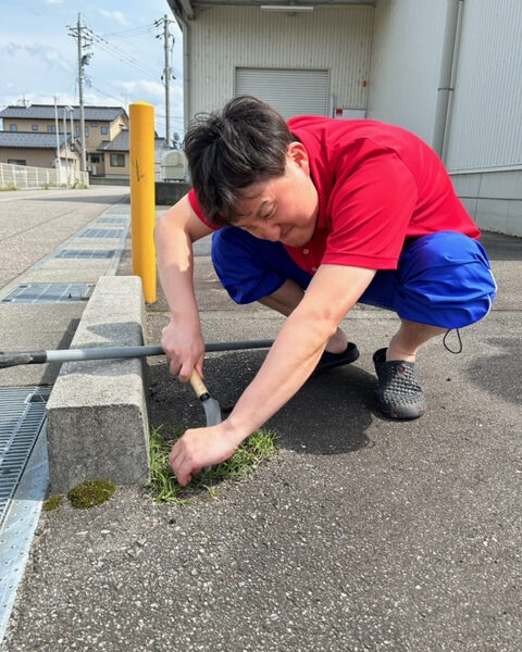 夏も間近‼草刈り🍃 画像