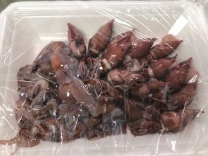 ホタルイカ②