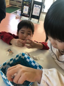 IMG_9786