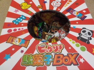 DSCN8384