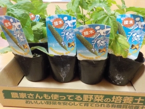 DSCN9986