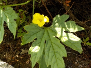 DSCN0474