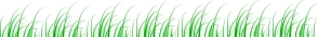 publicdomainq-0008794ygd